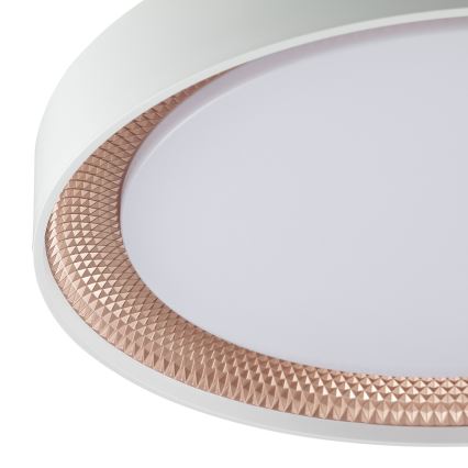 Brilliant - LED Stmívatelné stropní svítidlo WALDO LED/24W/230V 3000-6500K pr. 38,5 cm bílá/rose gold + dálkové ovládání