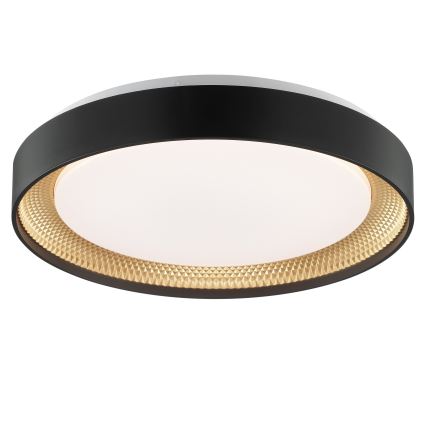 Brilliant - LED Stmívatelné stropní svítidlo WALDO LED/24W/230V 3000-6500K pr. 38,5 cm černá/zlatá + dálkové ovládání