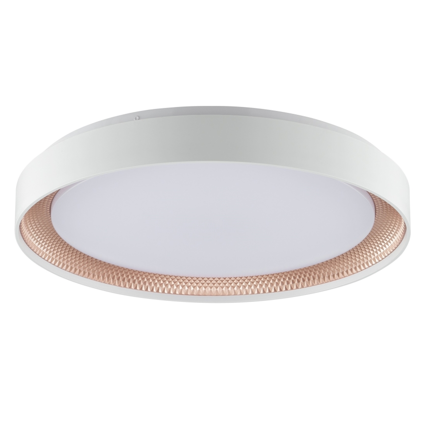 Brilliant - LED Stmívatelné stropní svítidlo WALDO LED/36W/230V 3000-6500K pr. 48,5 cm bílá/rose gold + dálkové ovládání
