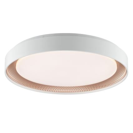 Brilliant - LED Stmívatelné stropní svítidlo WALDO LED/36W/230V 3000-6500K pr. 48,5 cm bílá/rose gold + dálkové ovládání