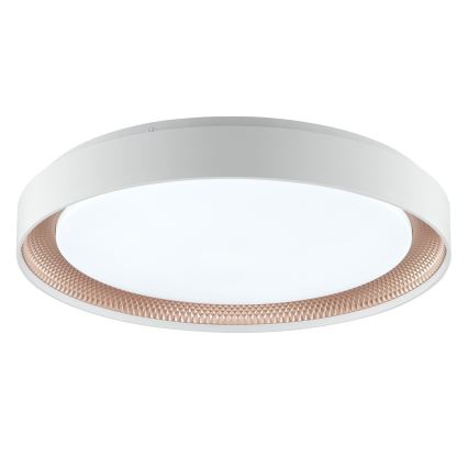 Brilliant - LED Stmívatelné stropní svítidlo WALDO LED/36W/230V 3000-6500K pr. 48,5 cm bílá/rose gold + dálkové ovládání