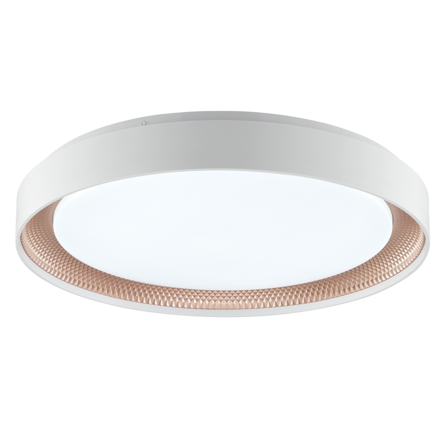 Brilliant - LED Stmívatelné stropní svítidlo WALDO LED/36W/230V 3000-6500K pr. 48,5 cm bílá/rose gold + dálkové ovládání