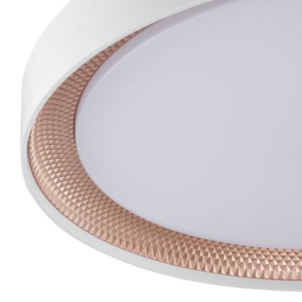 Brilliant - LED Stmívatelné stropní svítidlo WALDO LED/36W/230V 3000-6500K pr. 48,5 cm bílá/rose gold + dálkové ovládání