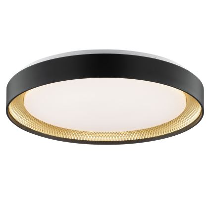 Brilliant - LED Stmívatelné stropní svítidlo WALDO LED/36W/230V 3000-6500K pr. 48,5 cm černá/zlatá + dálkové ovládání