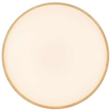 Brilliant - LED Stmívatelné stropní svítidlo ALSON LED/17W/230V 3000-6500K pr. 49,5 cm kaučukovník + dálkové ovládání