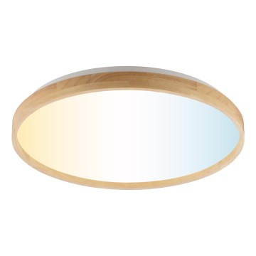 Brilliant - LED Stmívatelné stropní svítidlo ALSON LED/21W/230V 3000-6500K pr. 49,5 cm kaučukovník + dálkové ovládání
