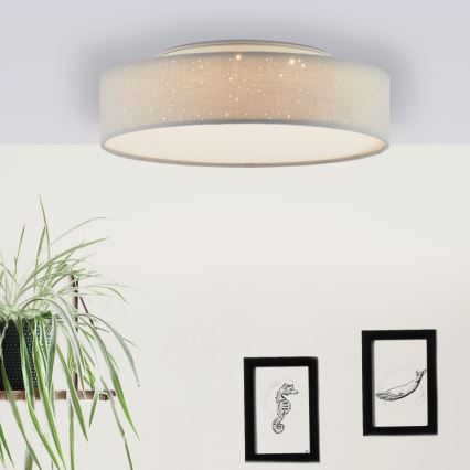 Brilliant - LED Stmívatelné stropní svítidlo BASKA LED/12W/230V pr. 38 cm 3000K