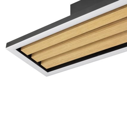 Brilliant - LED Stmívatelné stropní svítidlo CALMA LED/15W/230V černá