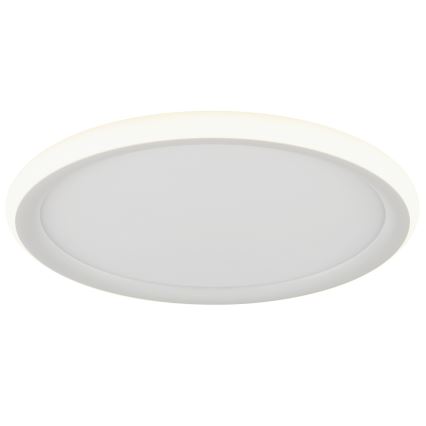 Brilliant - LED Stmívatelné stropní svítidlo CARLOZ LED/16W/230V pr. 30 cm bílá