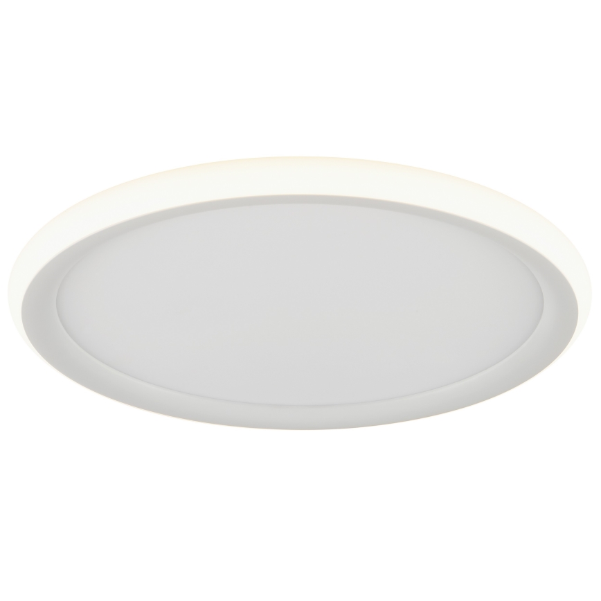 Brilliant - LED Stmívatelné stropní svítidlo CARLOZ LED/16W/230V pr. 30 cm bílá