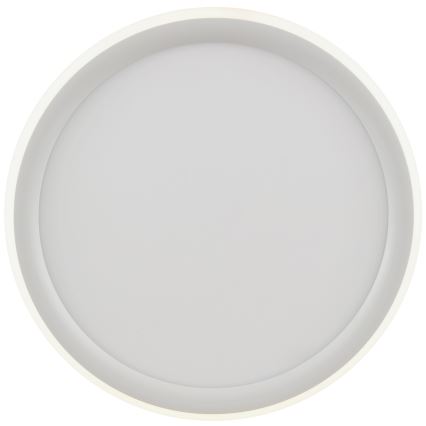 Brilliant - LED Stmívatelné stropní svítidlo CARLOZ LED/16W/230V pr. 30 cm bílá