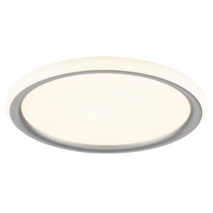 Brilliant - LED Stmívatelné stropní svítidlo CARLOZ LED/16W/230V pr. 30 cm bílá/ šedá