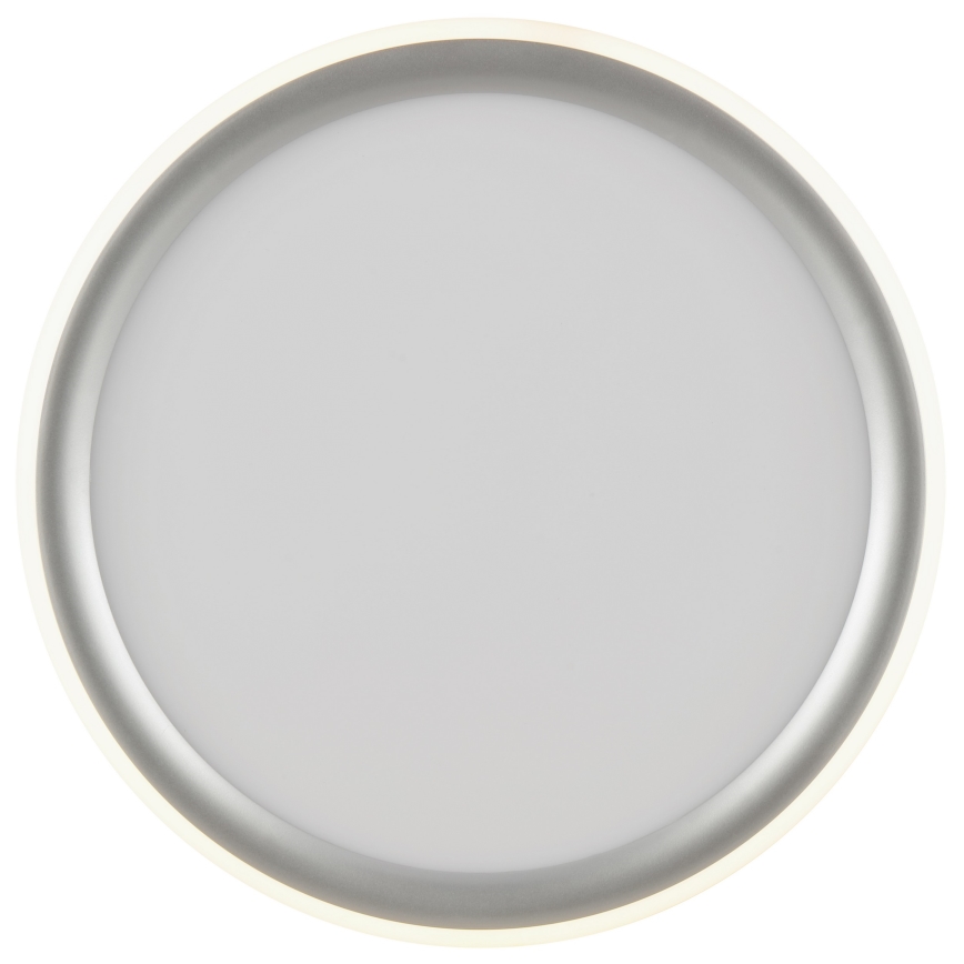 Brilliant - LED Stmívatelné stropní svítidlo CARLOZ LED/16W/230V pr. 30 cm bílá/ šedá