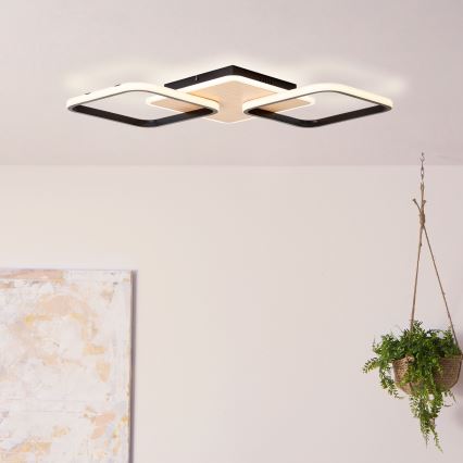 Brilliant - LED Stmívatelné stropní svítidlo DENNET LED/40W/230V 3000K 62x62 cm