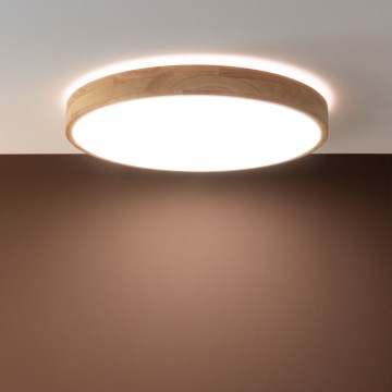 Brilliant - LED Stmívatelné stropní svítidlo SLIMLINE LED/60W/230V 3000-6500K pr. 45 cm béžová + dálkové ovládání