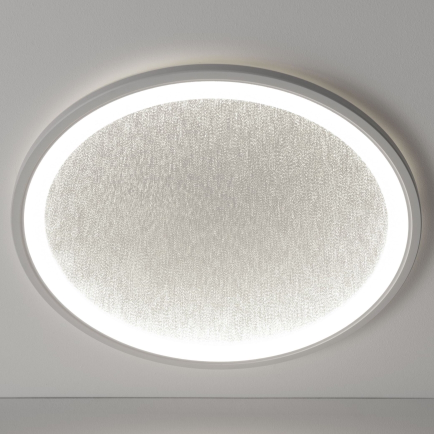 Brilliant - LED Stmívatelné stropní svítidlo TANIDA LED/31W/230V 3000-6500K + dálkové ovládání