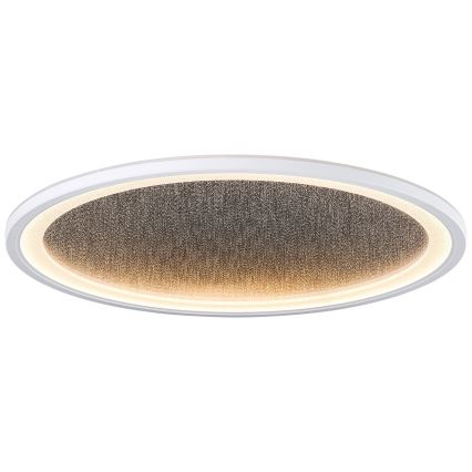 Brilliant - LED Stmívatelné stropní svítidlo TANIDA LED/31W/230V 3000-6500K + dálkové ovládání
