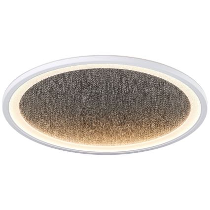 Brilliant - LED Stmívatelné stropní svítidlo TANIDA LED/31W/230V 3000-6500K + dálkové ovládání