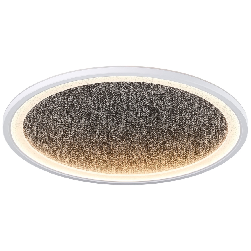Brilliant - LED Stmívatelné stropní svítidlo TANIDA LED/31W/230V 3000-6500K + dálkové ovládání