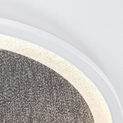 Brilliant - LED Stmívatelné stropní svítidlo TANIDA LED/31W/230V 3000-6500K + dálkové ovládání