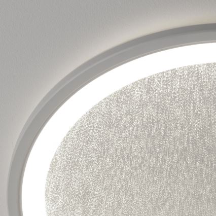 Brilliant - LED Stmívatelné stropní svítidlo TANIDA LED/31W/230V 3000-6500K + dálkové ovládání