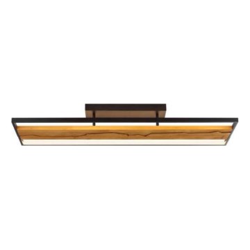 Brilliant - LED Stmívatelné stropní svítidlo THUNDER LED/42W/230V borovice