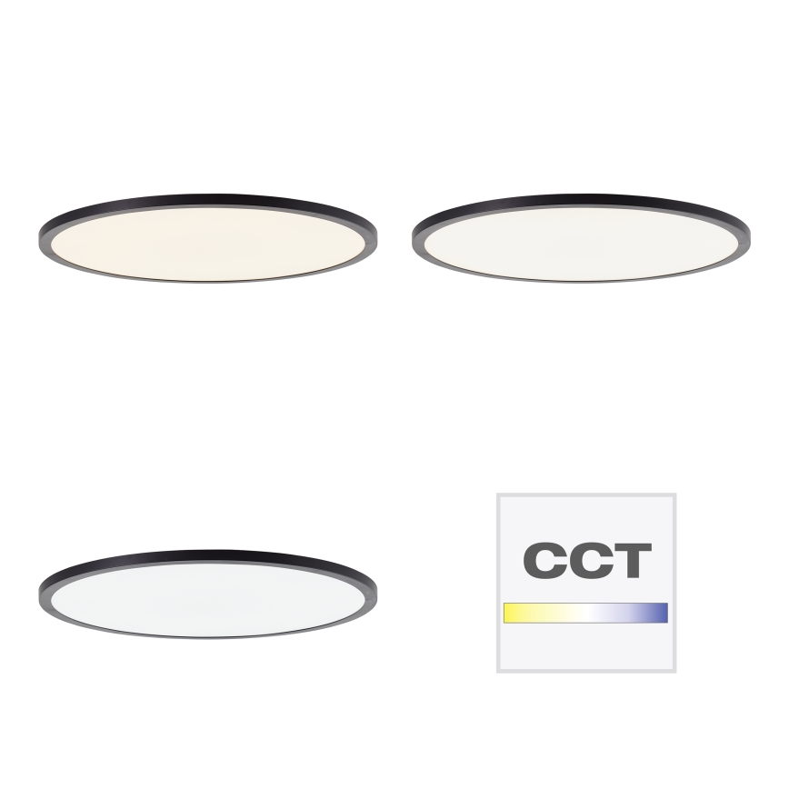 Brilliant - LED Stmívatelné stropní svítidlo TUCO LED/33W/230V 3000-6500K pr. 50 cm černá + dálkové ovládání