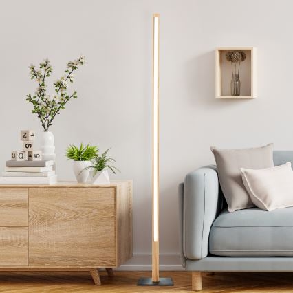 Brilliant - LED Stojací lampa ARION LED/14W/230V borovice