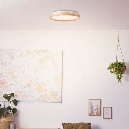 Brilliant - LED Stropní svítidlo ALSON LED/26W/230V 3000/4500K pr. 39,5 cm gumovník - FSC certifikováno