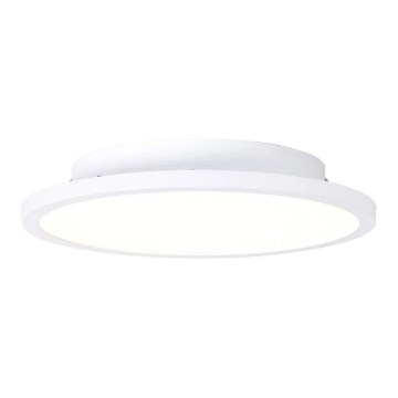 Brilliant - LED Stropní svítidlo BUFFI LED/13W/230V pr. 25 cm 2700K