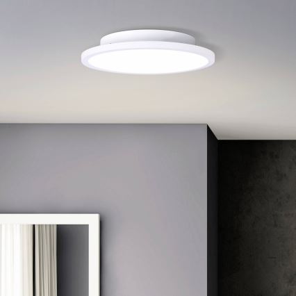 Brilliant - LED Stropní svítidlo BUFFI LED/13W/230V pr. 25 cm 2700K