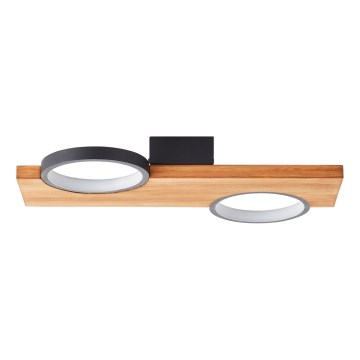 Brilliant - LED Stropní svítidlo CHEESY LED/14W/230V borovice - FSC certifikováno