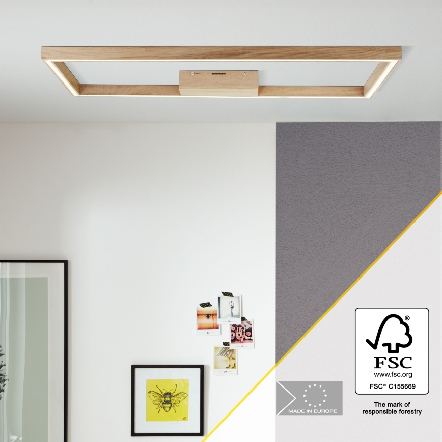 Brilliant - LED Stropní svítidlo DELGROSSO LED/24W/230V 3000K dub
