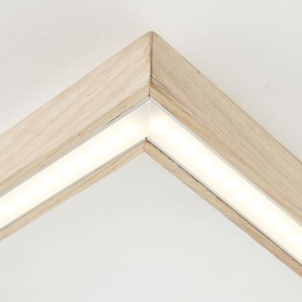 Brilliant - LED Stropní svítidlo DELGROSSO LED/24W/230V 3000K dub