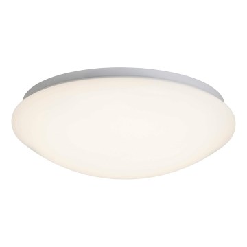 Brilliant - LED Stropní svítidlo FAKIR LED/11W/230V 3000K pr. 30 cm