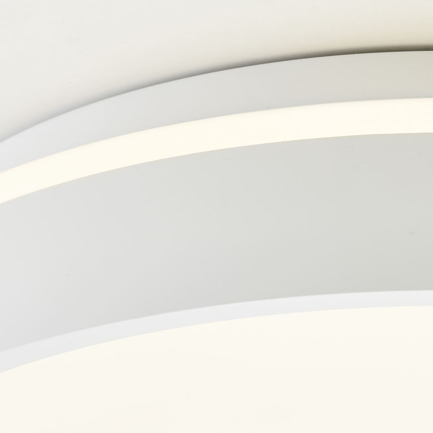 Brilliant - LED Stropní svítidlo KALMAR LED/26W/230V 3000K pr. 39 cm bílá