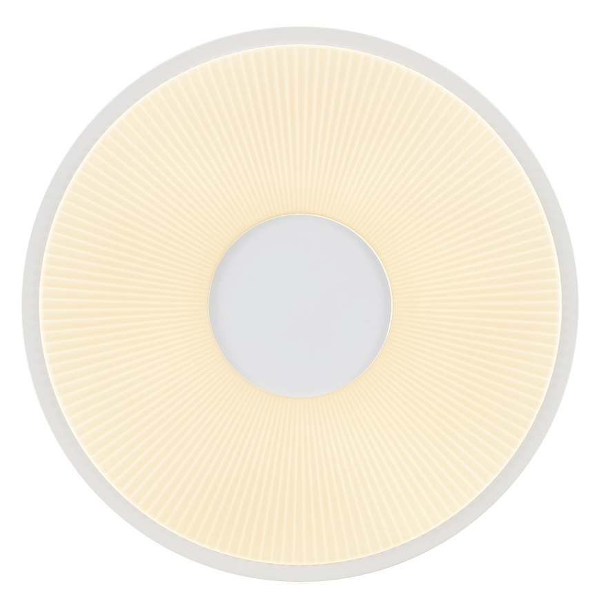 Brilliant - LED Stropní svítidlo RAKIN LED/18W/230V pr. 33,5 cm bílá