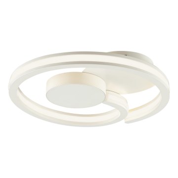 Brilliant - LED Stropní svítidlo REVOLA LED/33W/230V 3000/4000/6500K pr. 40 cm bílá