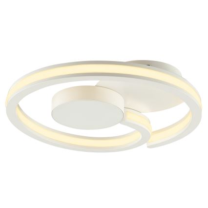 Brilliant - LED Stropní svítidlo REVOLA LED/33W/230V 3000/4000/6500K pr. 40 cm bílá