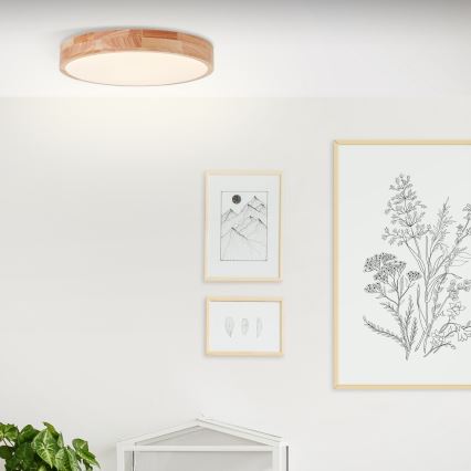 Brilliant - LED Stropní svítidlo SLIMLINE LED/22W/230V pr. 39 cm gumovník