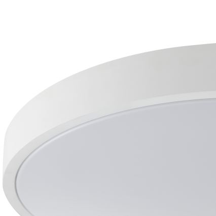 Brilliant - LED Stropní svítidlo SOLISTRA LED/18W/230V pr. 34,5 cm bílá