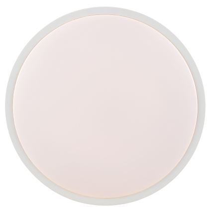 Brilliant - LED Stropní svítidlo SOLISTRA LED/24W/230V pr. 44,5 cm bílá