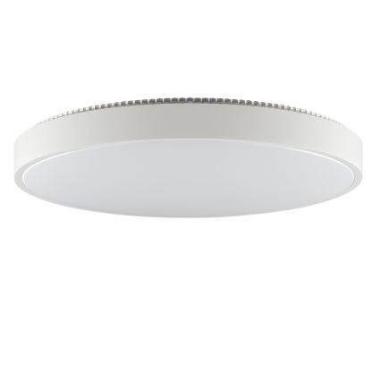Brilliant - LED Stropní svítidlo SOLISTRA LED/36W/230V pr. 54 cm bílá