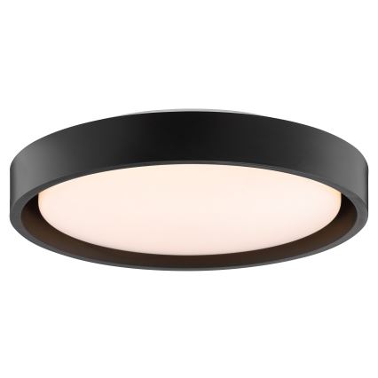 Brilliant - LED Stropní svítidlo SONORA LED/12W/230V 3000K pr. 31 cm černá