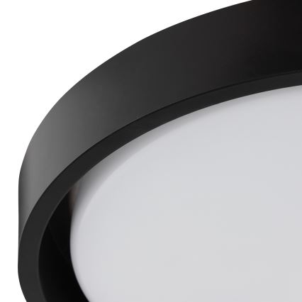 Brilliant - LED Stropní svítidlo SONORA LED/12W/230V 3000K pr. 31 cm černá