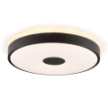 Brilliant - LED Stropní svítidlo TAVIS LED/24W/230V pr. 44,5 cm černá