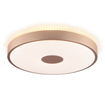 Brilliant - LED Stropní svítidlo TAVIS LED/24W/230V pr. 44,5 cm rose gold