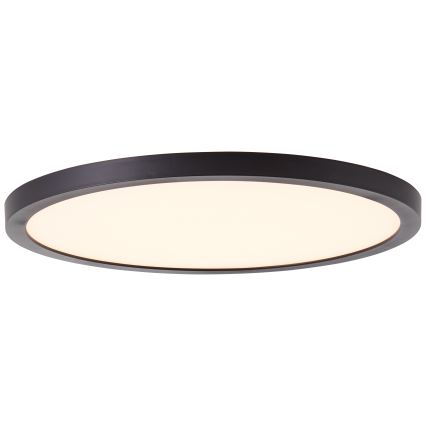 Brilliant - LED Stropní svítidlo TUCO LED/16W/230V pr. 25 cm černá