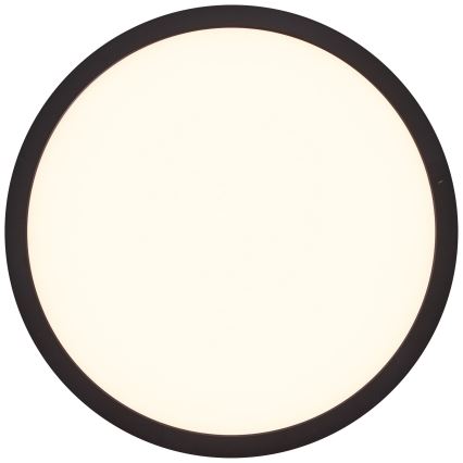 Brilliant - LED Stropní svítidlo TUCO LED/16W/230V pr. 25 cm černá