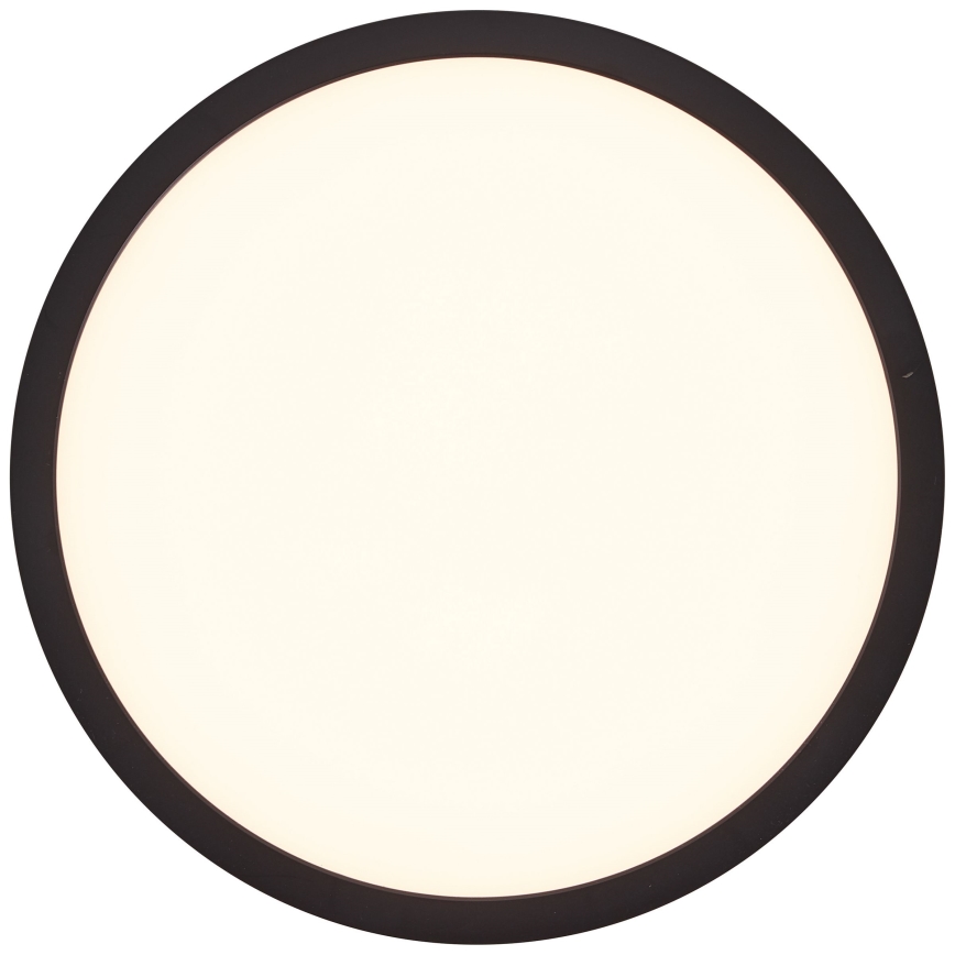Brilliant - LED Stropní svítidlo TUCO LED/16W/230V pr. 25 cm černá